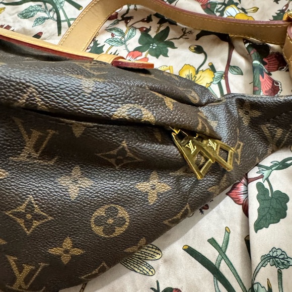 Monogram Bumbag Bag - Picture 8 of 14